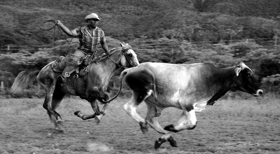 Dolph Kessler - Brazili - cowboys - Amazone - 2007 