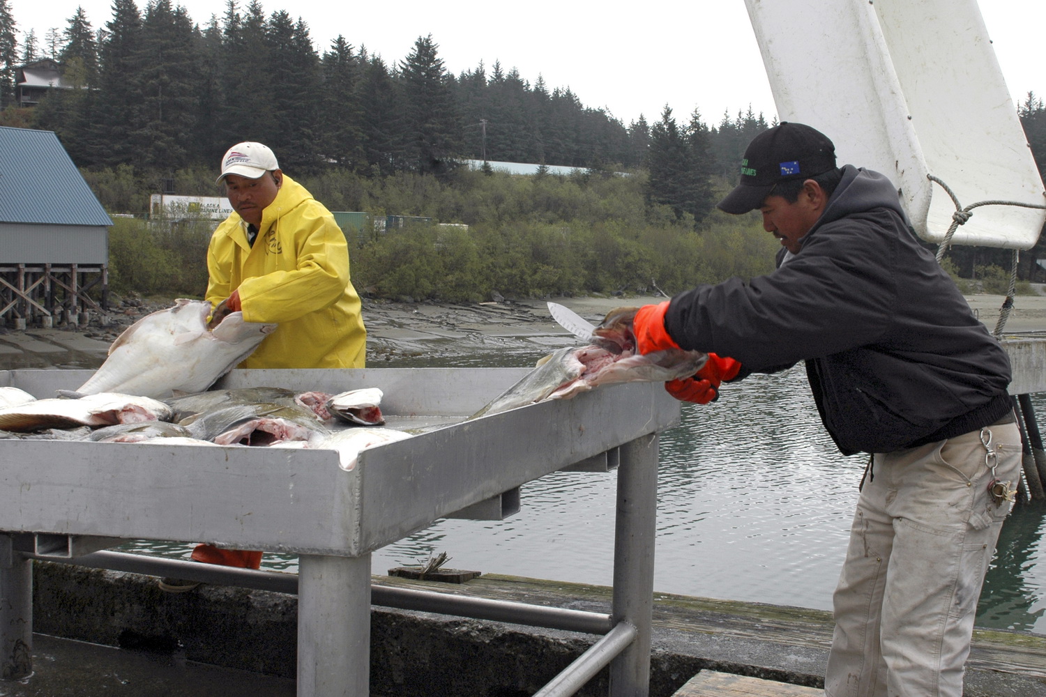 Dolph Kessler - Inside passage,  Canada 