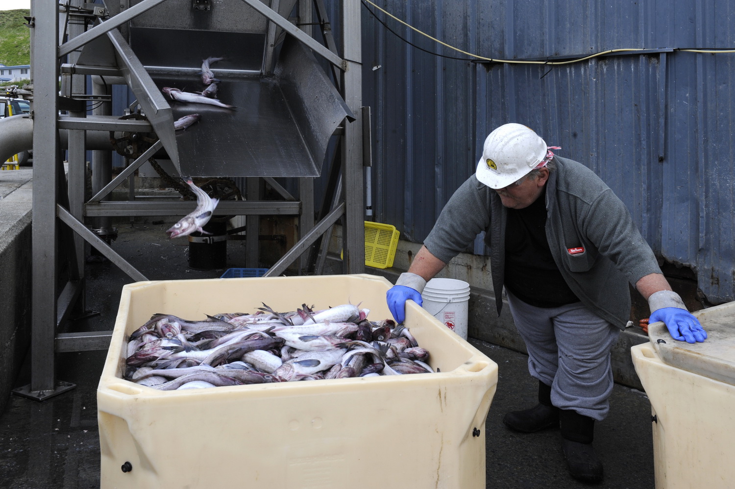 Dolph Kessler - Langs de Alheoeten tot Dutch Harbour, Alaska 