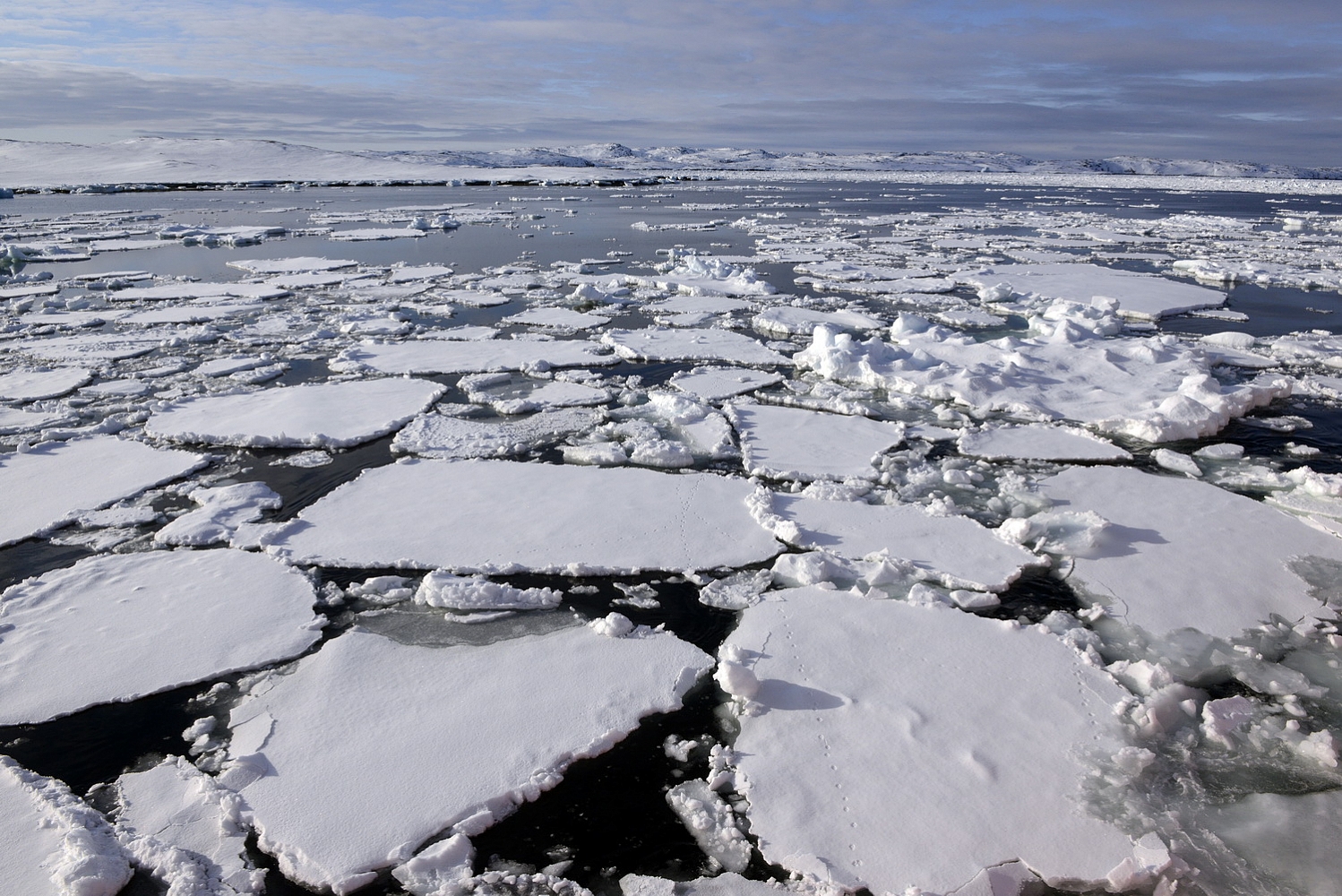 Dolph Kessler - Sarfaq Ittuk, Greenland  