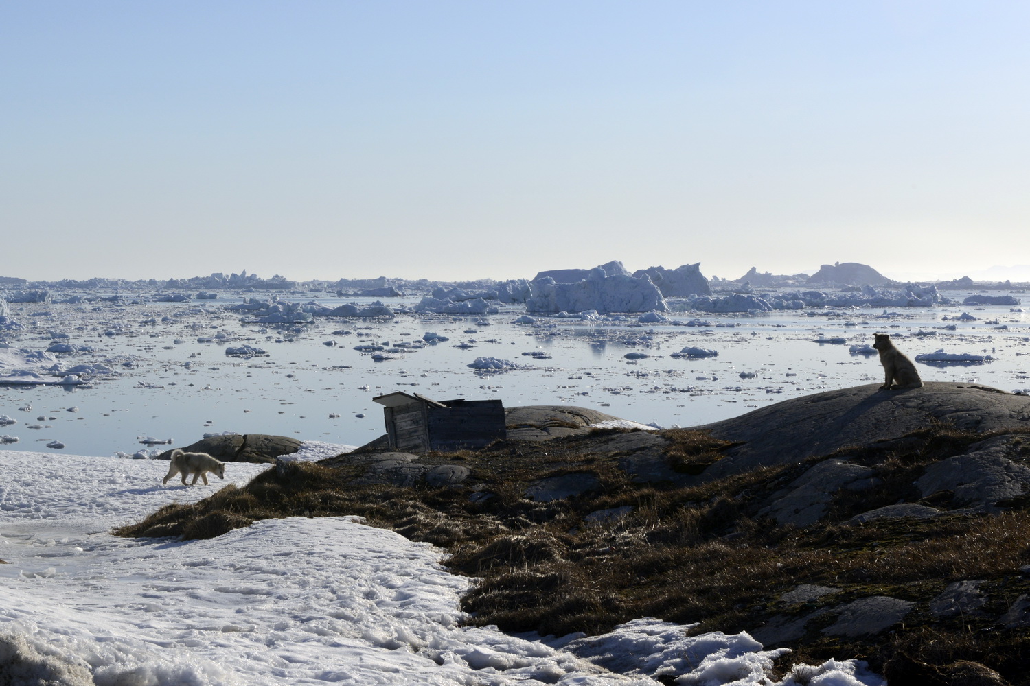 Dolph Kessler - Sarfaq Ittuk, Greenland  