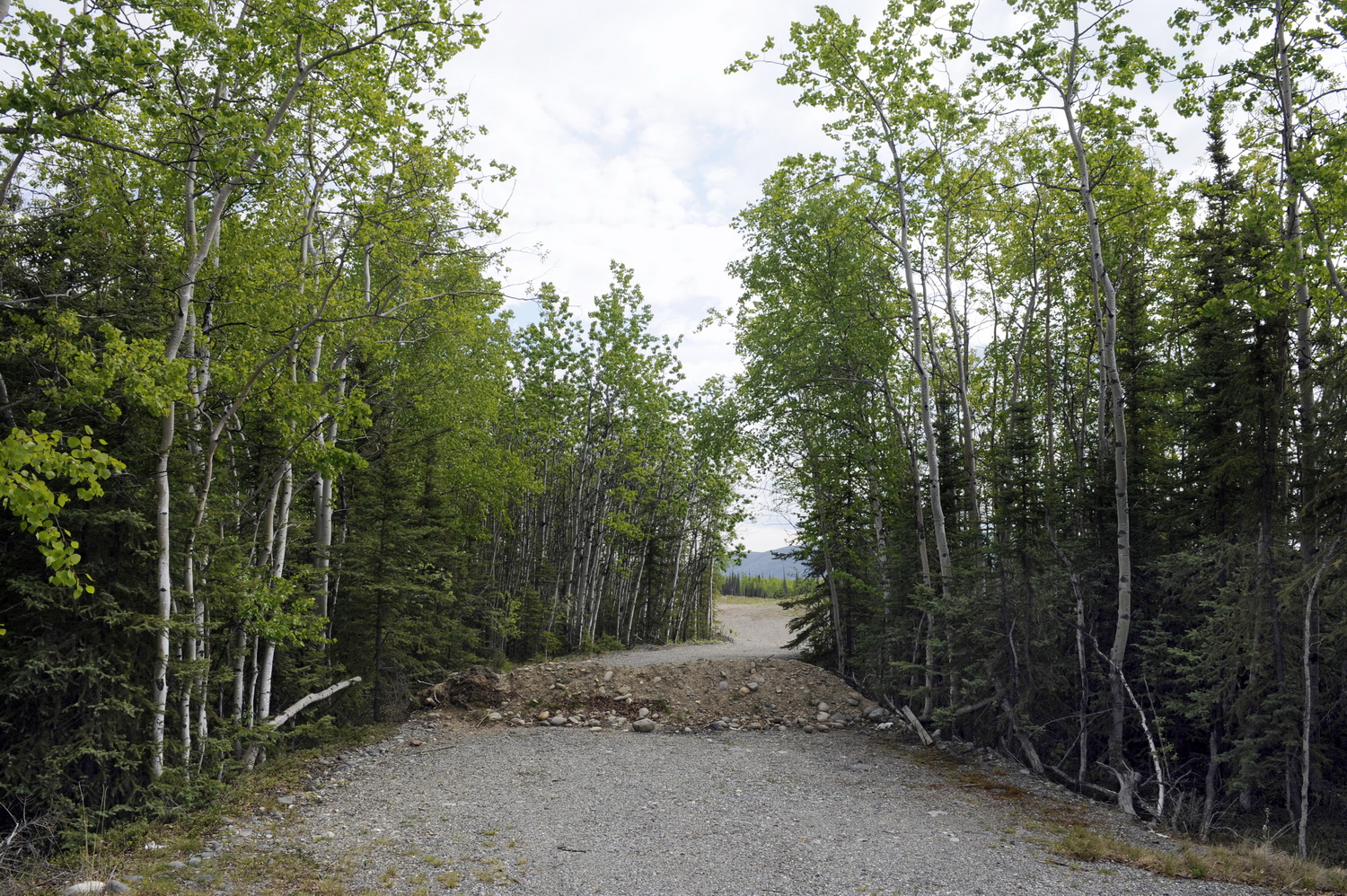 Dolph Kessler - Roadblocks in Alaska 