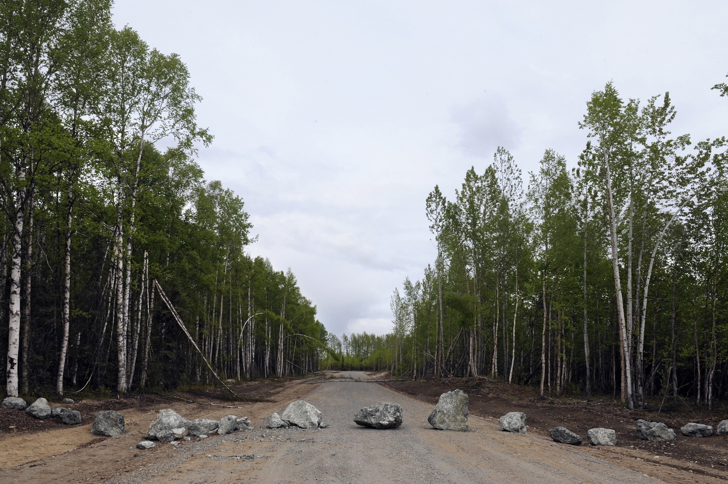 Dolph Kessler - Roadblocks in Alaska, 2011 