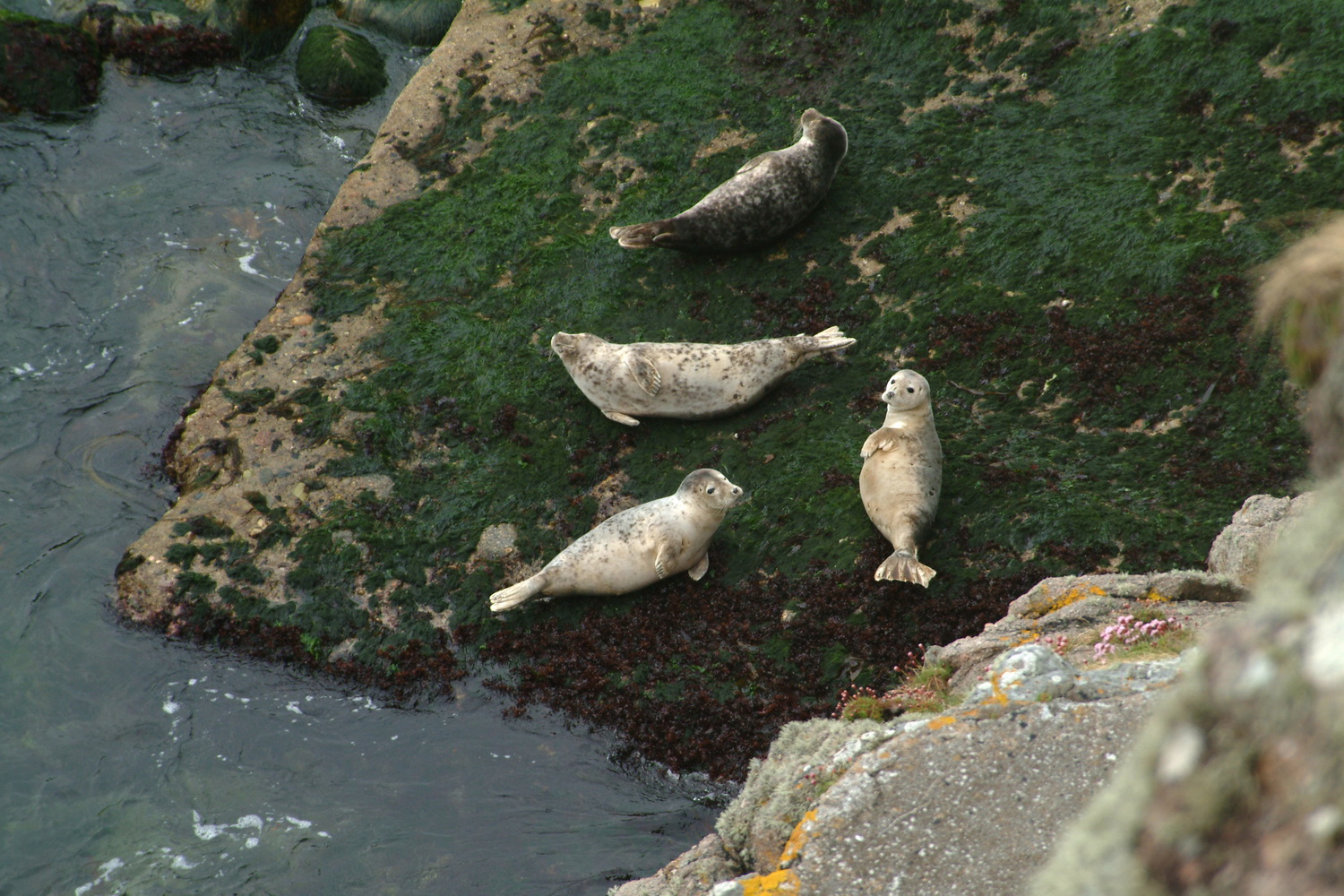 Dolph Kessler - Ireland - Donegal - 2004 