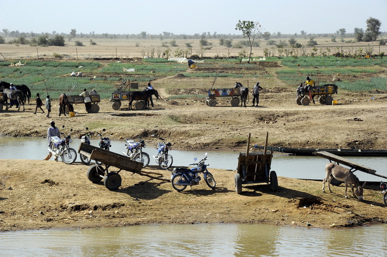 Dolph Kessler - Djenne Mali - 2011 