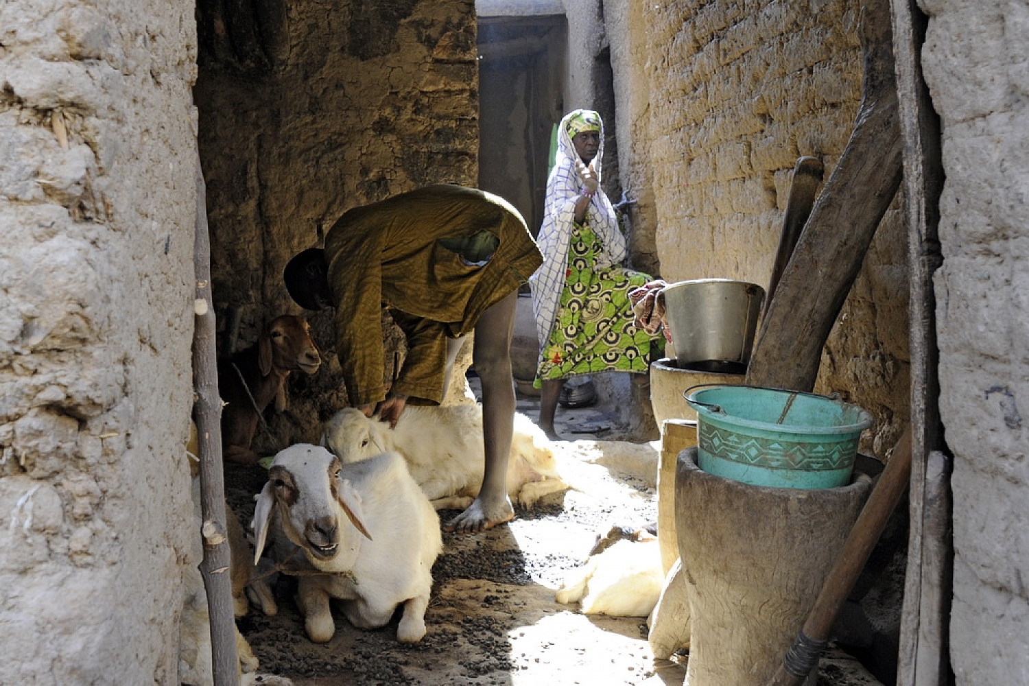 Dolph Kessler - Djenne, Mali - 2011 