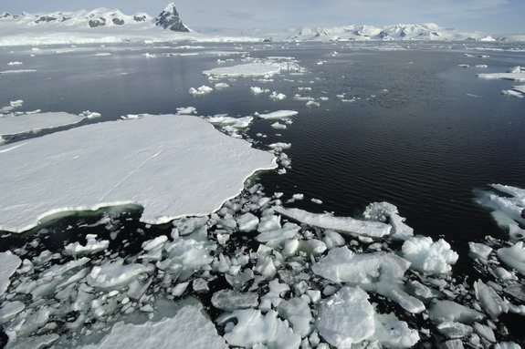 Dolph Kessler - Antarctica - 2006 