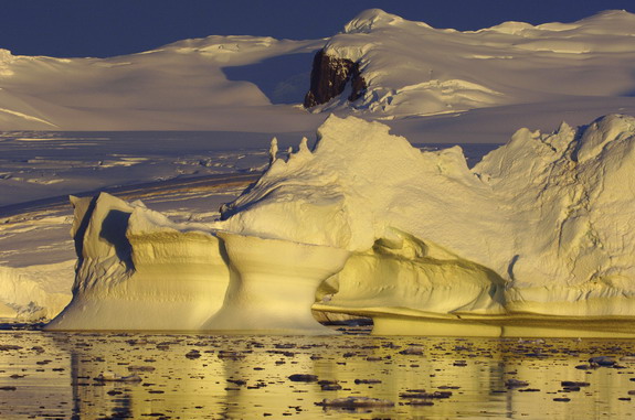 Dolph Kessler - Antarctica - 2006 