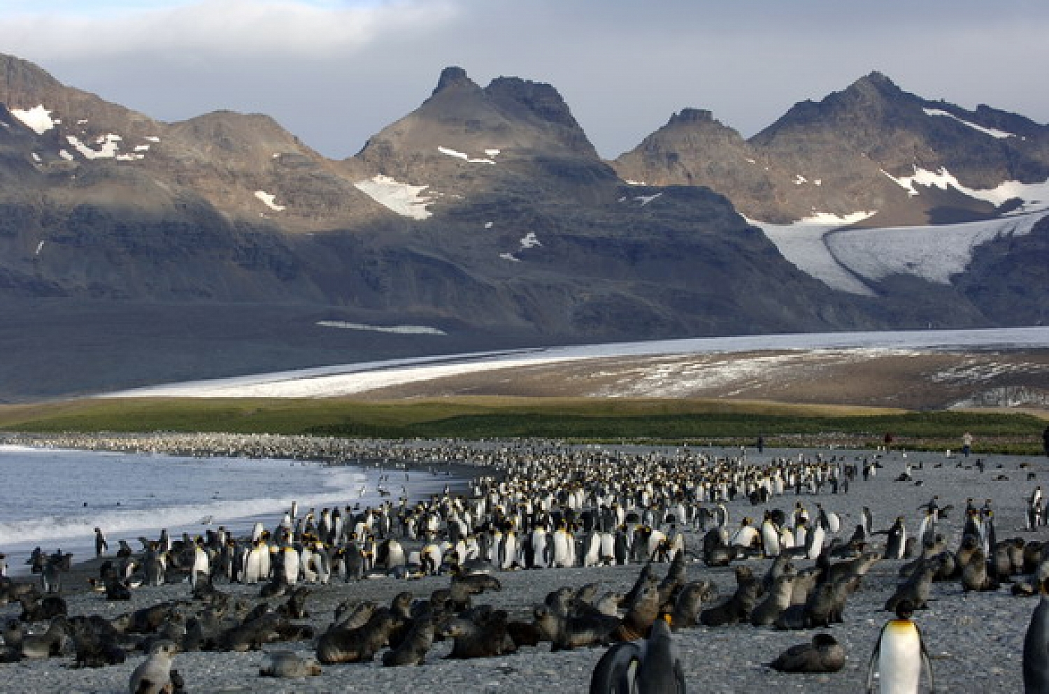 Dolph Kessler - Antarctica - 2006 