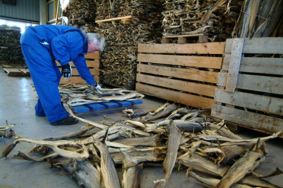 Dolph Kessler - Noorwegen - Lofoten - Rost and Skomvaer - 2004 