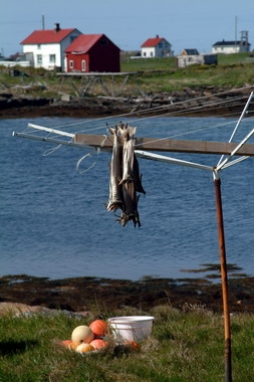 Dolph Kessler - Norway - Lofoten - Rost and Skomvaer - 2004 