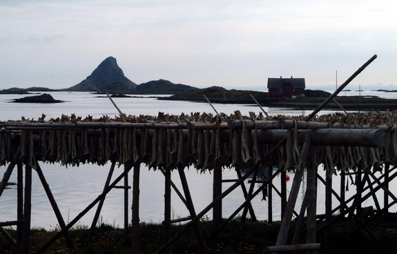 Dolph Kessler - Norway - Lofoten - Rost and Skomvaer - 2004 