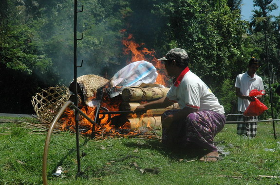 Dolph Kessler - Bali - ceremony - fishermen - buffalo races - 2005 