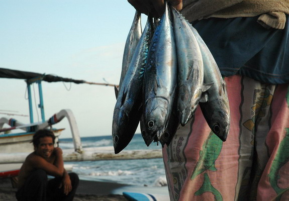 Dolph Kessler - Bali - ceremonie - vissers - buffelraces - 2005 