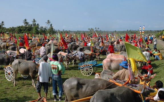 Dolph Kessler - Bali - ceremony - fishermen - buffalo races - 2005 