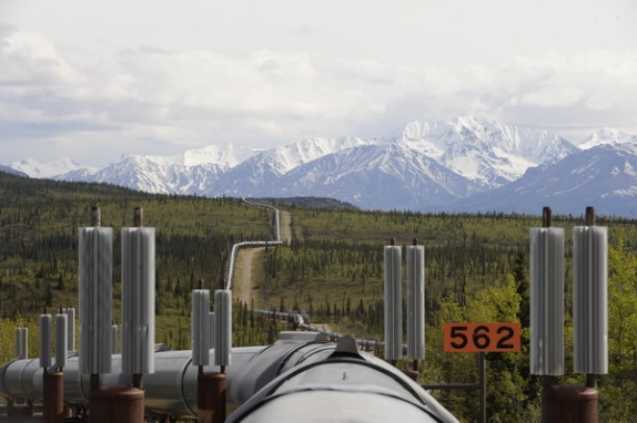 Dolph kessler - Alaska, Denali, Grizzlys, Orka`s - 2008 