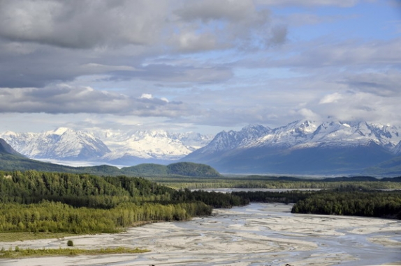 Dolph Kessler - Alaska, Denali, Grizzlys, Orka`s - 2008 