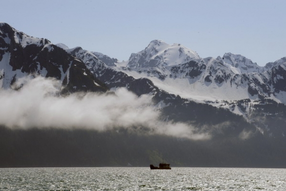 Dolph Kessler - Alaska - Denali - Grizzlies - Orcas - 2008 