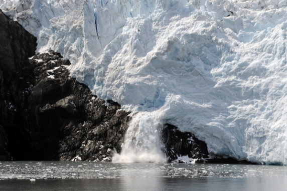 Dolph Kessler - Alaska, Denali, Grizzlys, Orka`s - 2008 