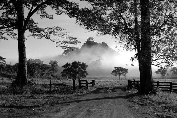 Dolph Kessler - Brazil - Cowboys - Amazon - 2007 