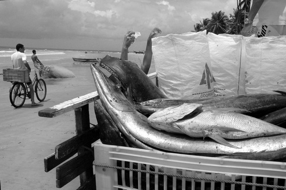 Dolph Kessler - Brazil - Cowboys - Amazon - 2007 