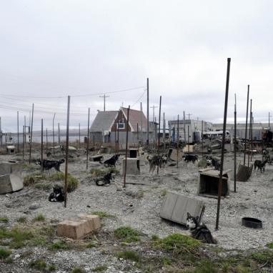 Dolph Kessler - Nome, Teller, goudzoeken, Alaska 2008 