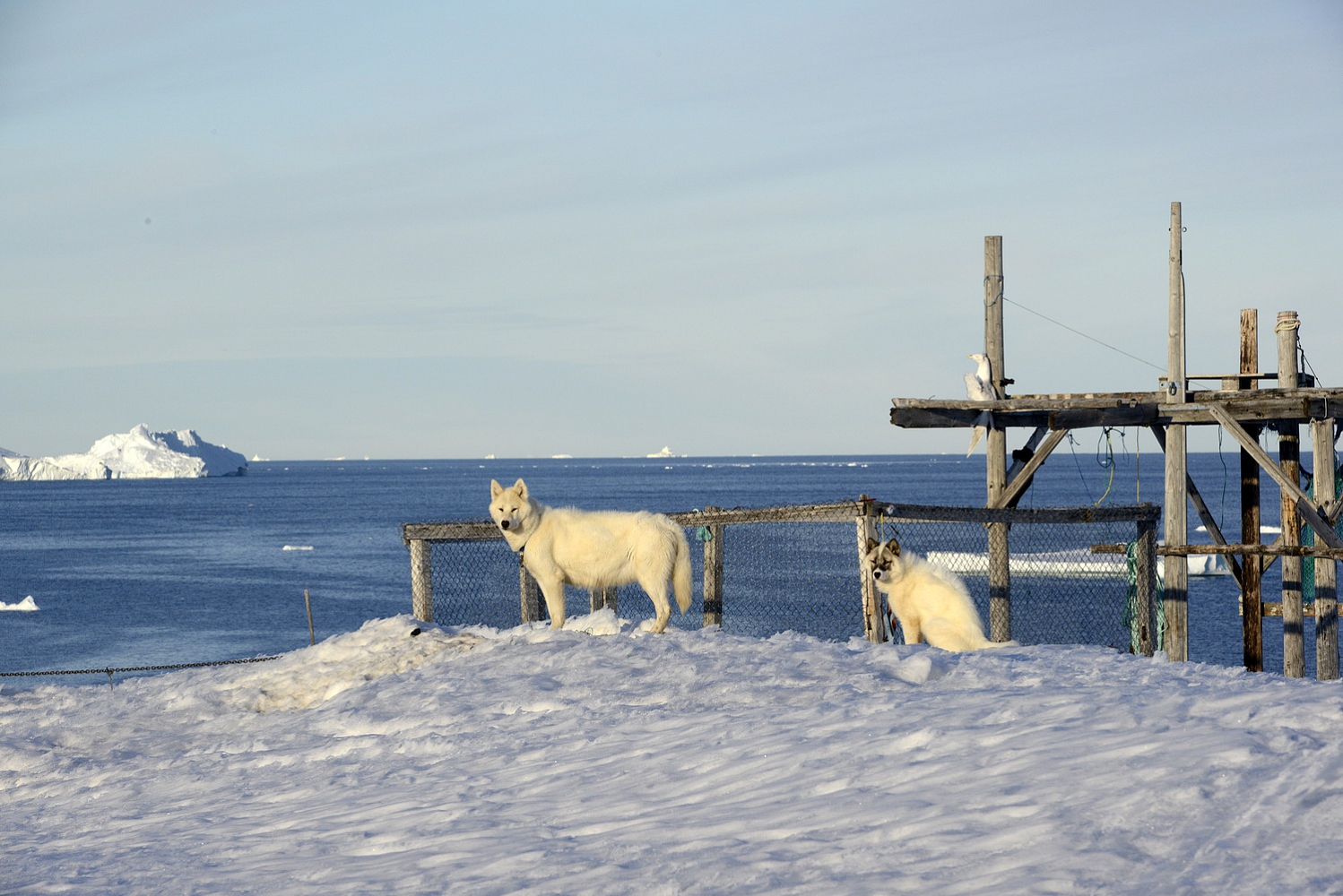 Dolph Kessler - Keep Greenland a secret 1. The west 