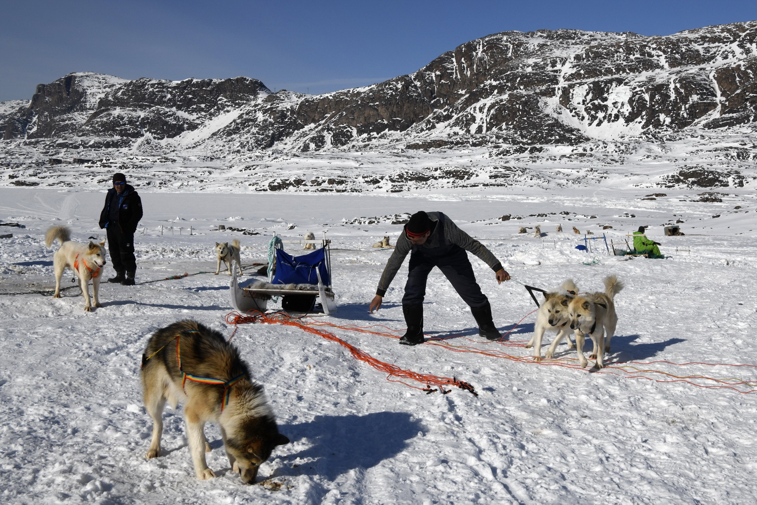 Dolph kessler - sled dogs 