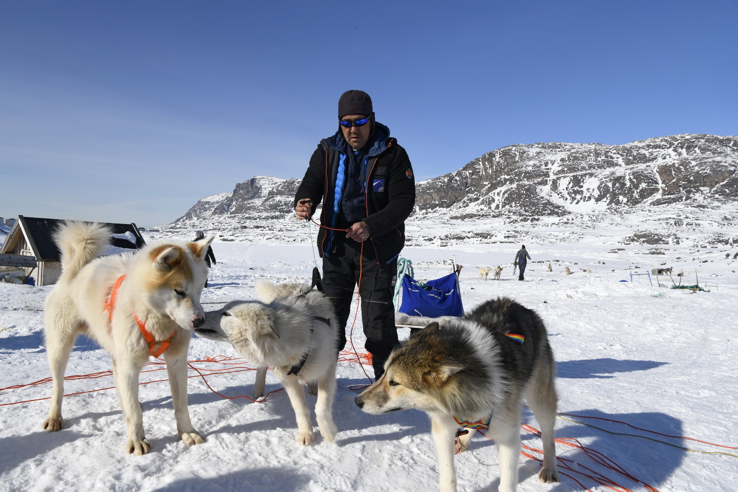 Dolph Kessler - sled dogs 