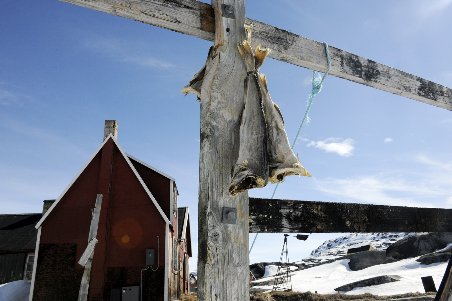 Dolph Kessler - Oqaatsut 