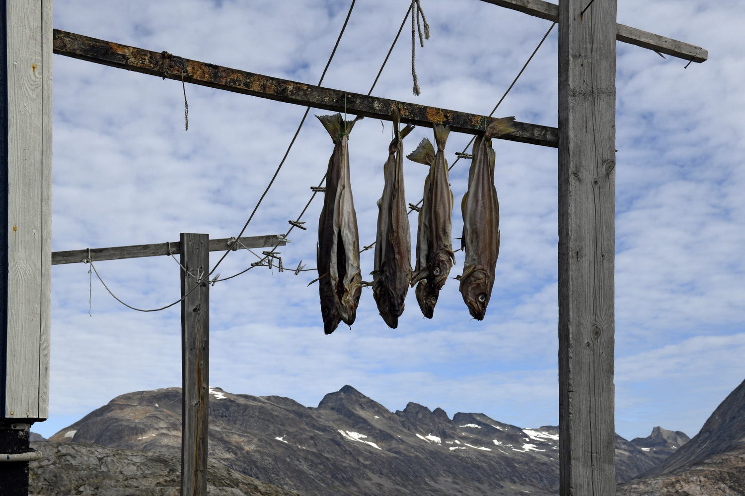 Dolph Kessler - Keep Greenland a secret / het oosten 