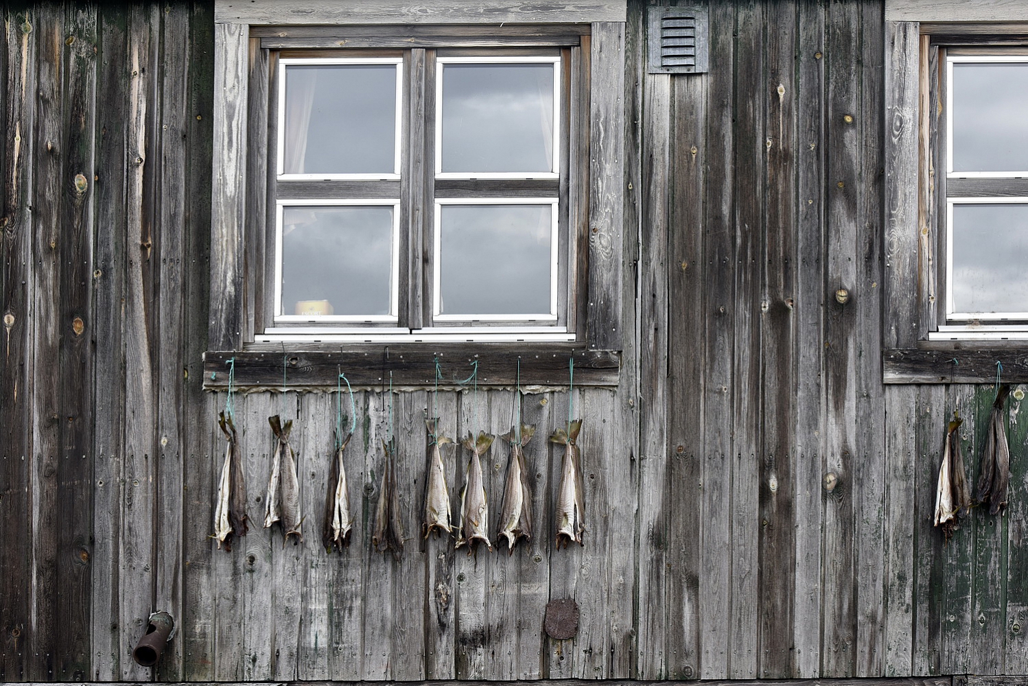 Dolph Kessler - Keep Greenland a secret / het oosten 