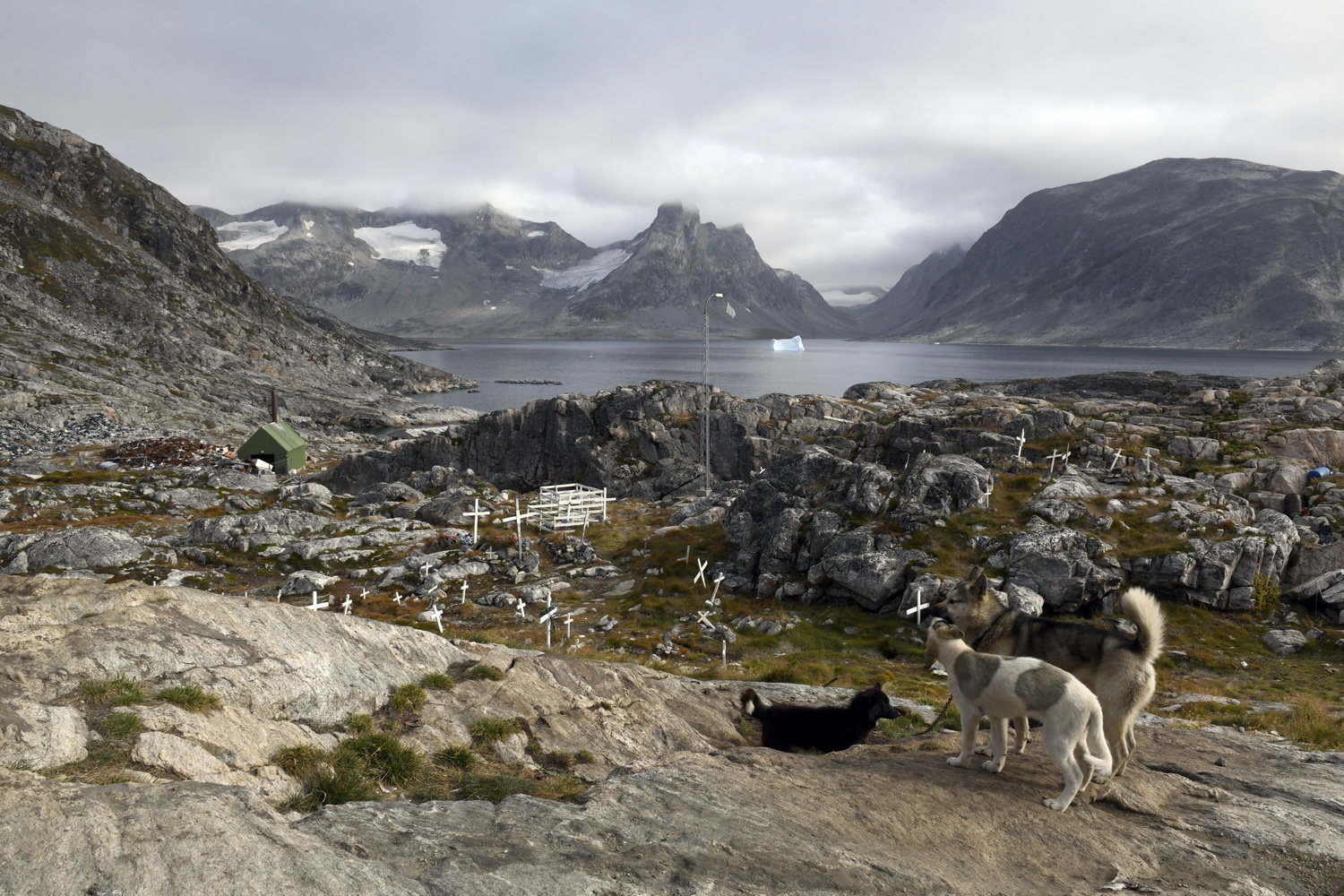 Dolph Kessler - Keep Greenland a secret / het oosten 