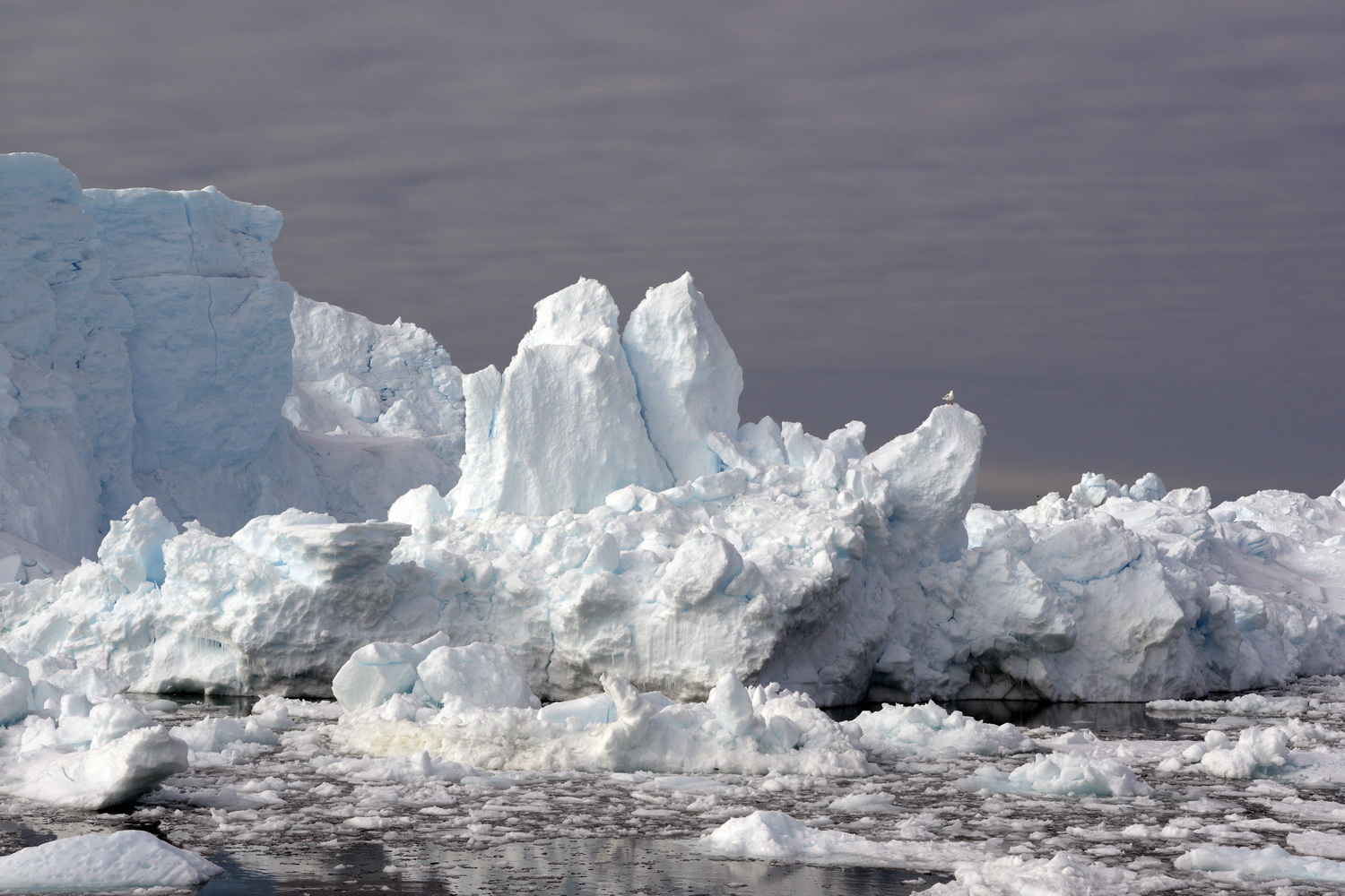 Dolph kessler - Disko Bay Groenland 