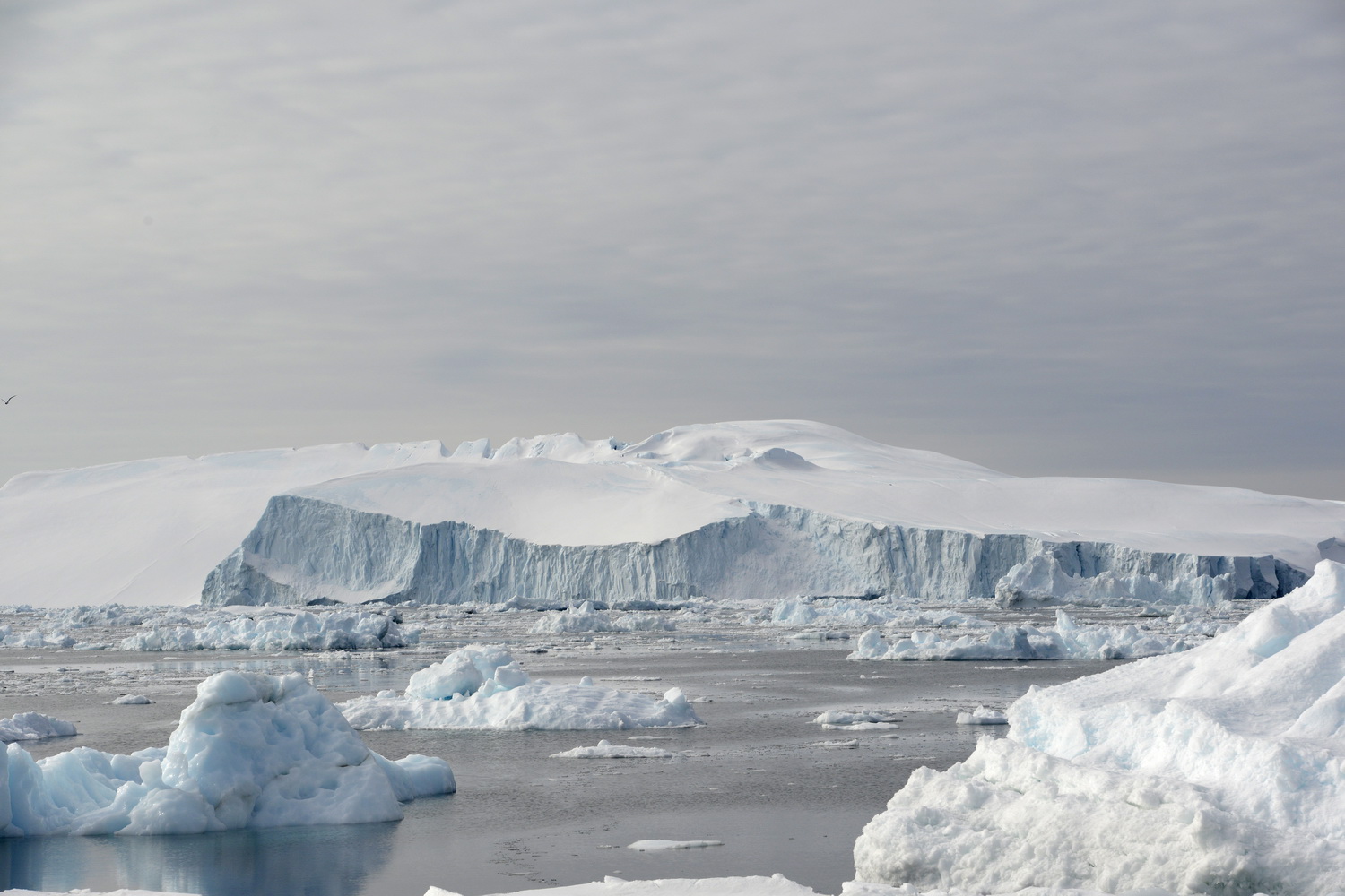 Dolph Kessler - Disko Bay Greenland 