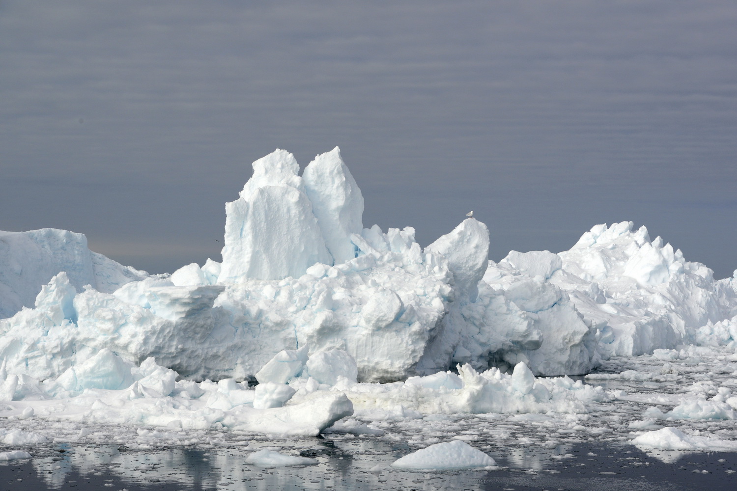 Dolph Kessler - Disko Bay Greenland 