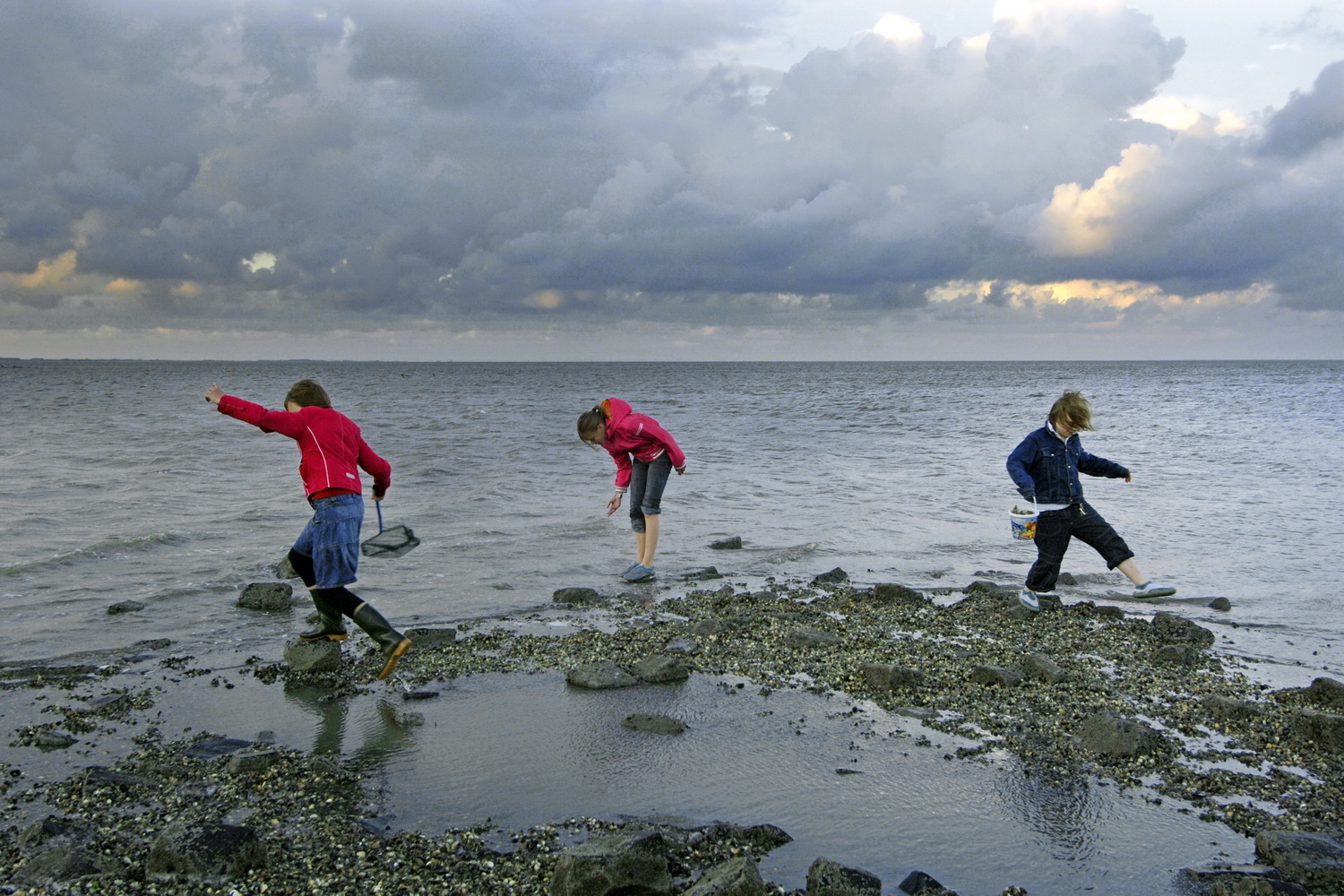 Dolph Kessler - Watery edge of Friesland  