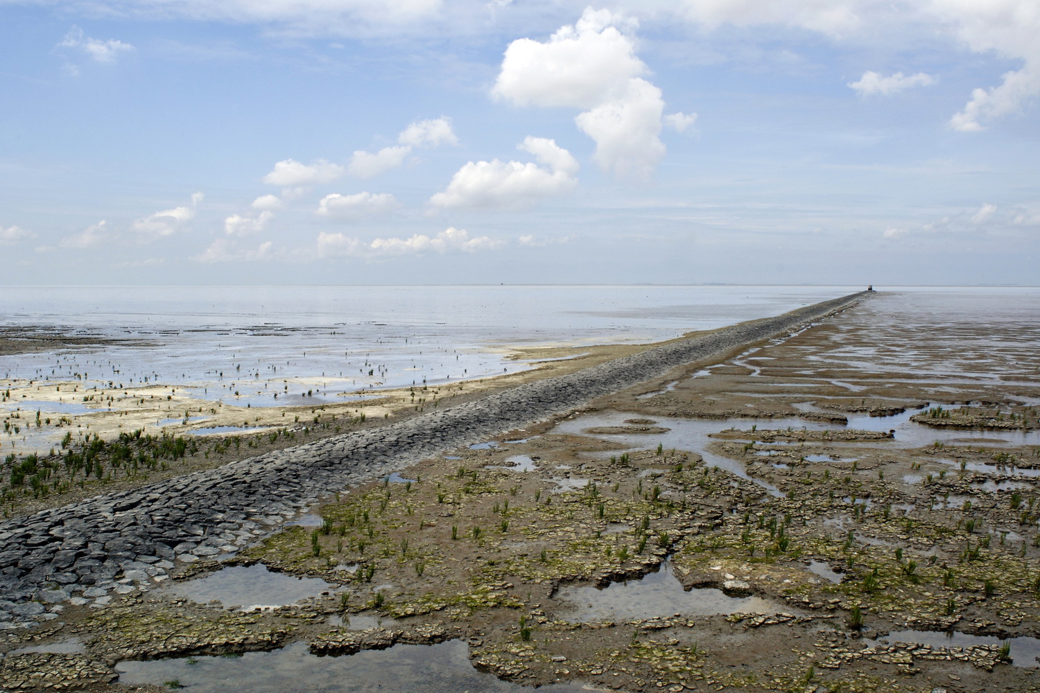 Dolph Kessler - Watery edge of Friesland  