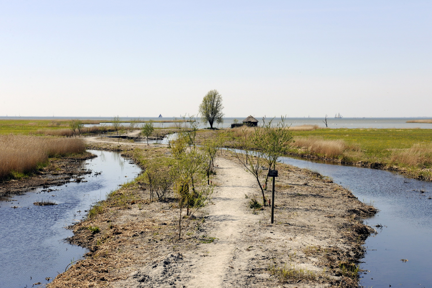 Dolph Kessler - Watery edge of Friesland  