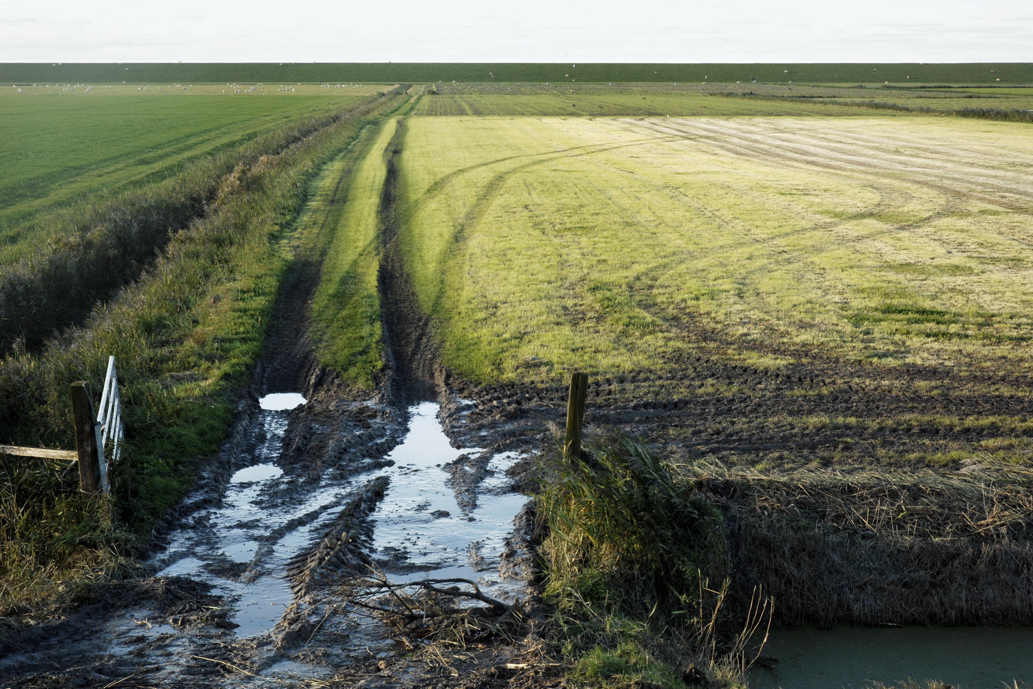 Dolph Kessler - Platteland 