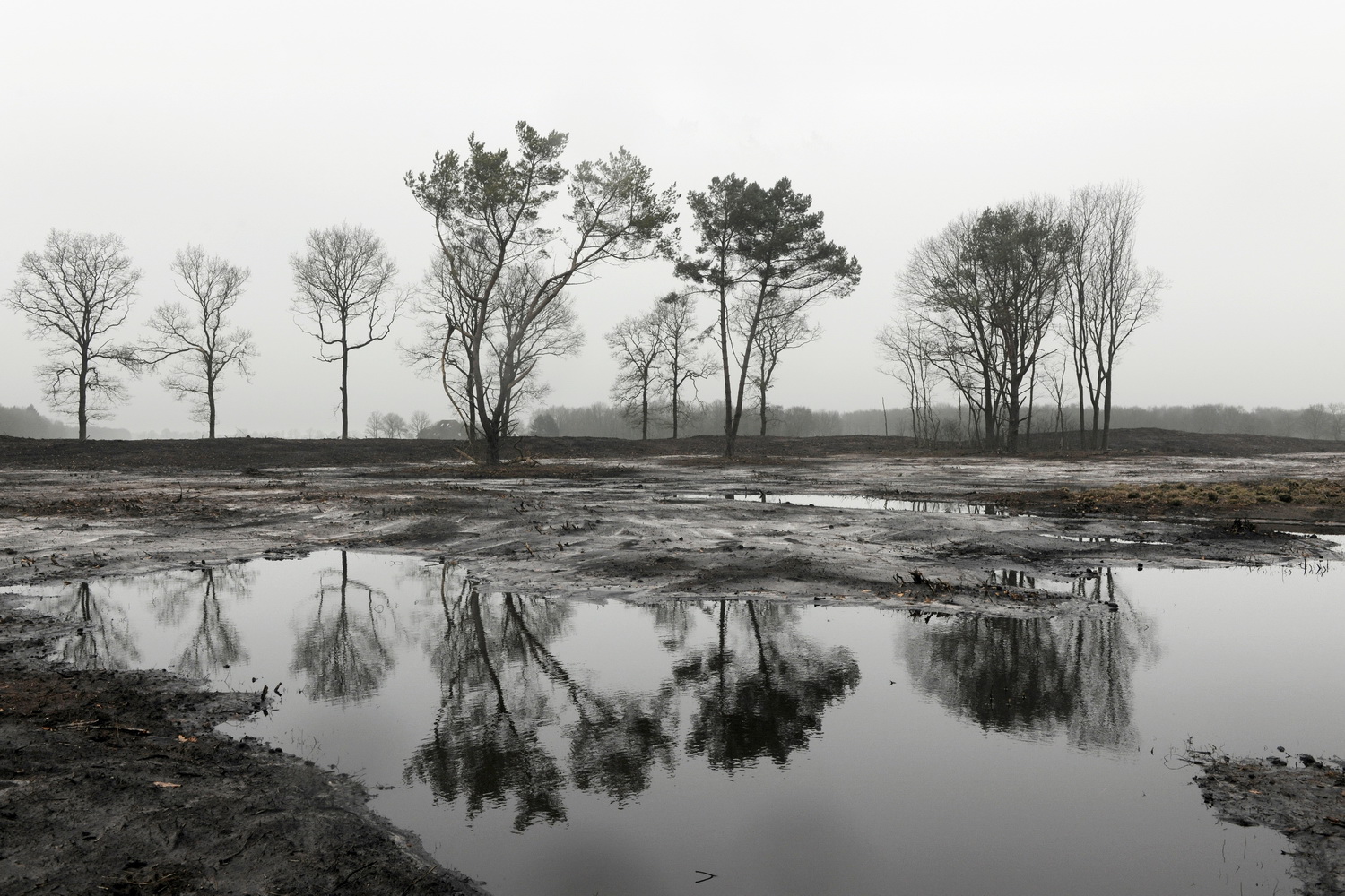 Dolph Kessler - Countryside 