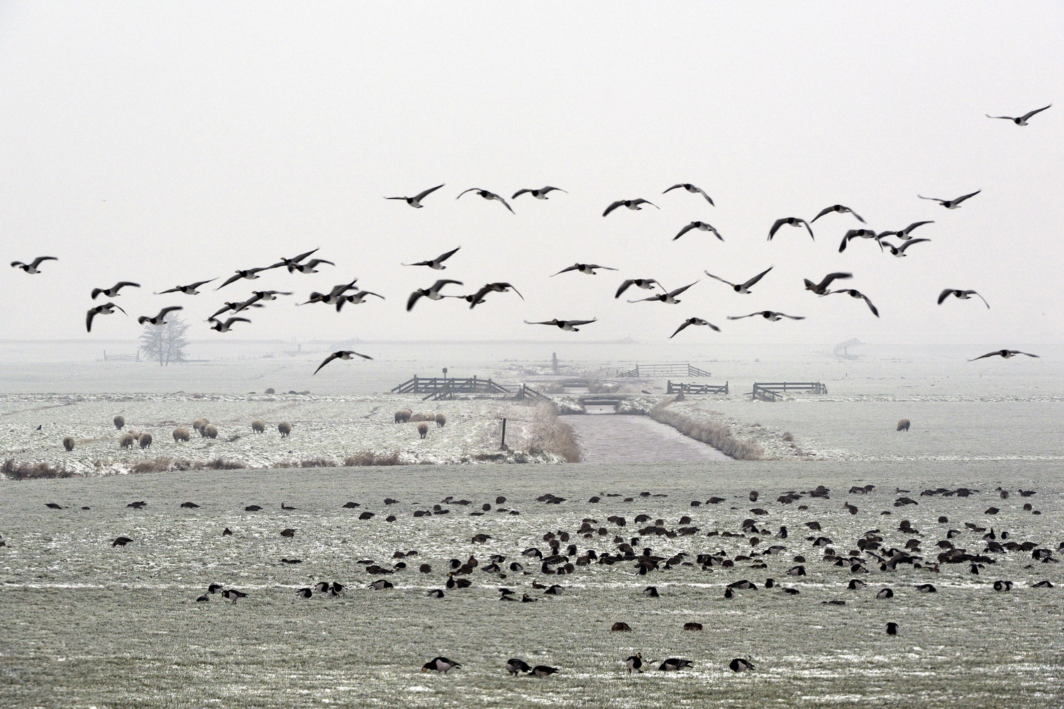 Dolph Kessler - Winter in Friesland 