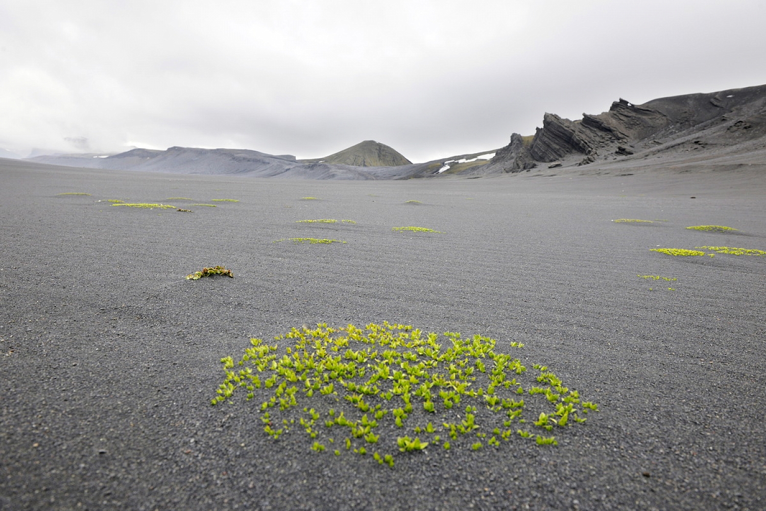 Dolph Kessler - Jan Mayen 