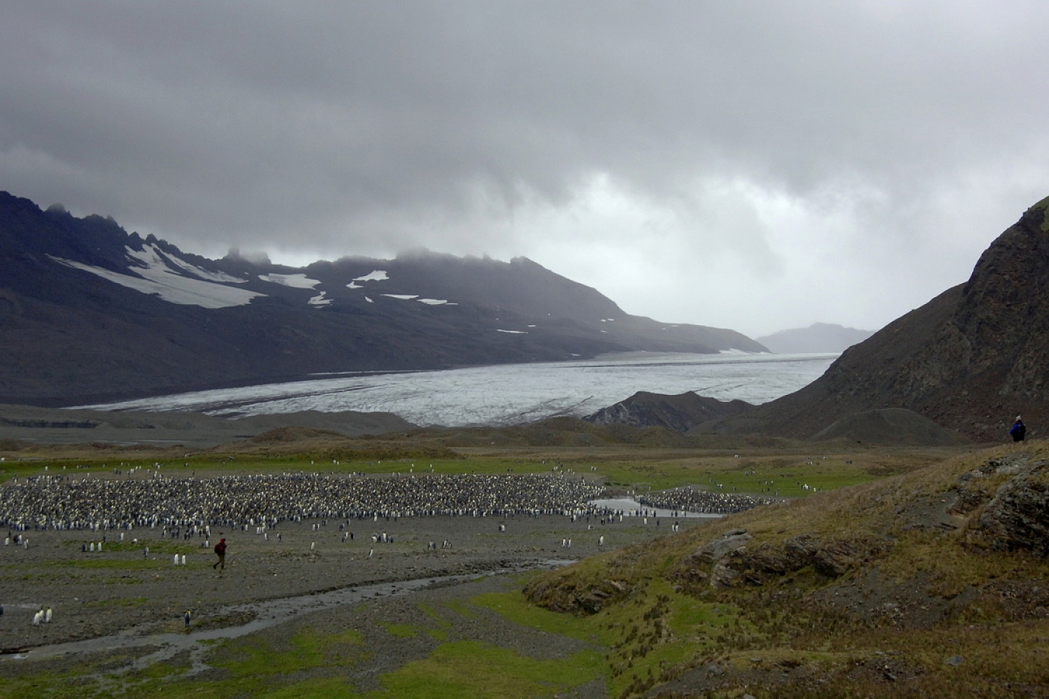 Dolph kessler - South Georgia en Sanders, in de Zuid Atlantic 