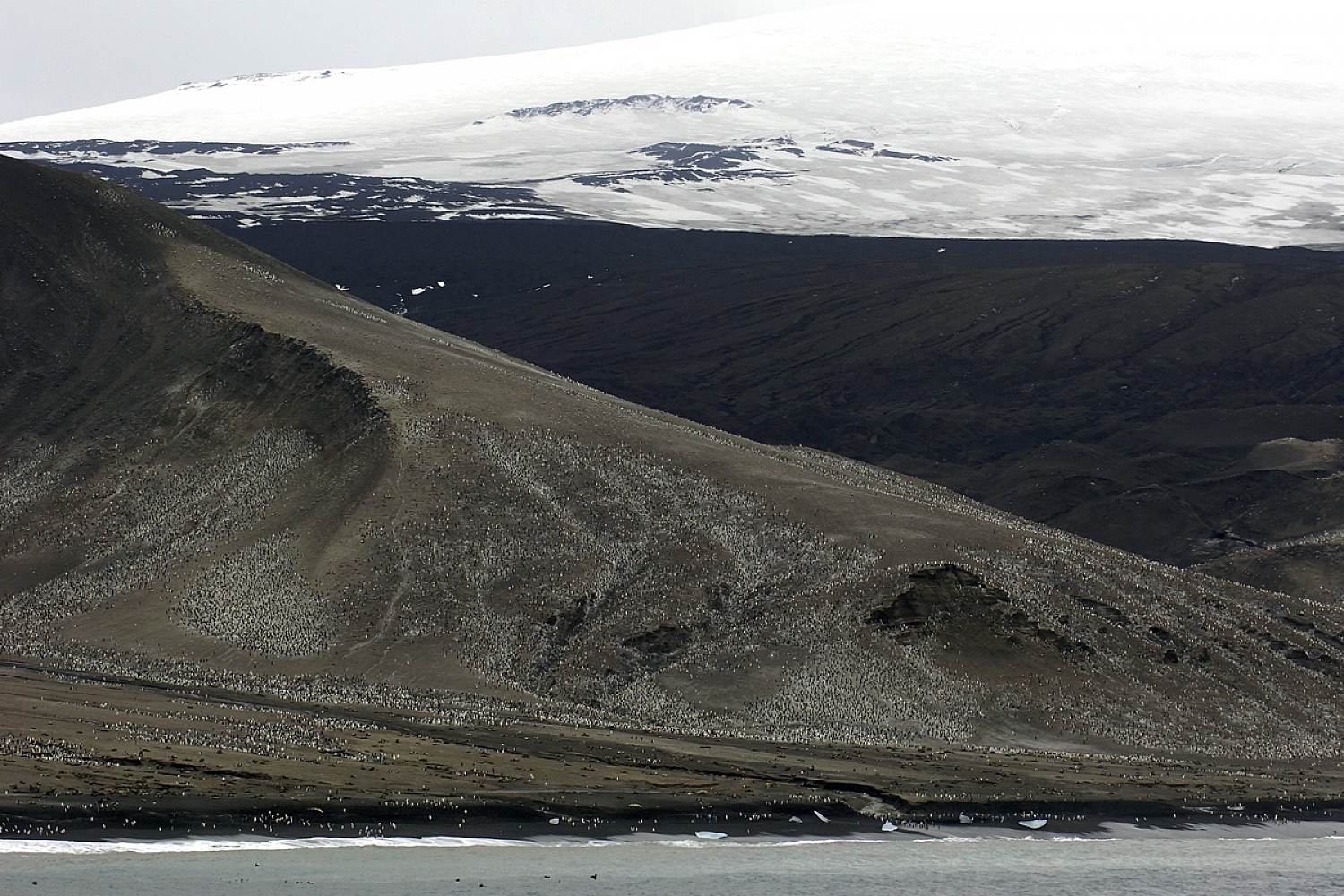 Dolph Kessler - South Georgia and Sanders, South Atlantic 