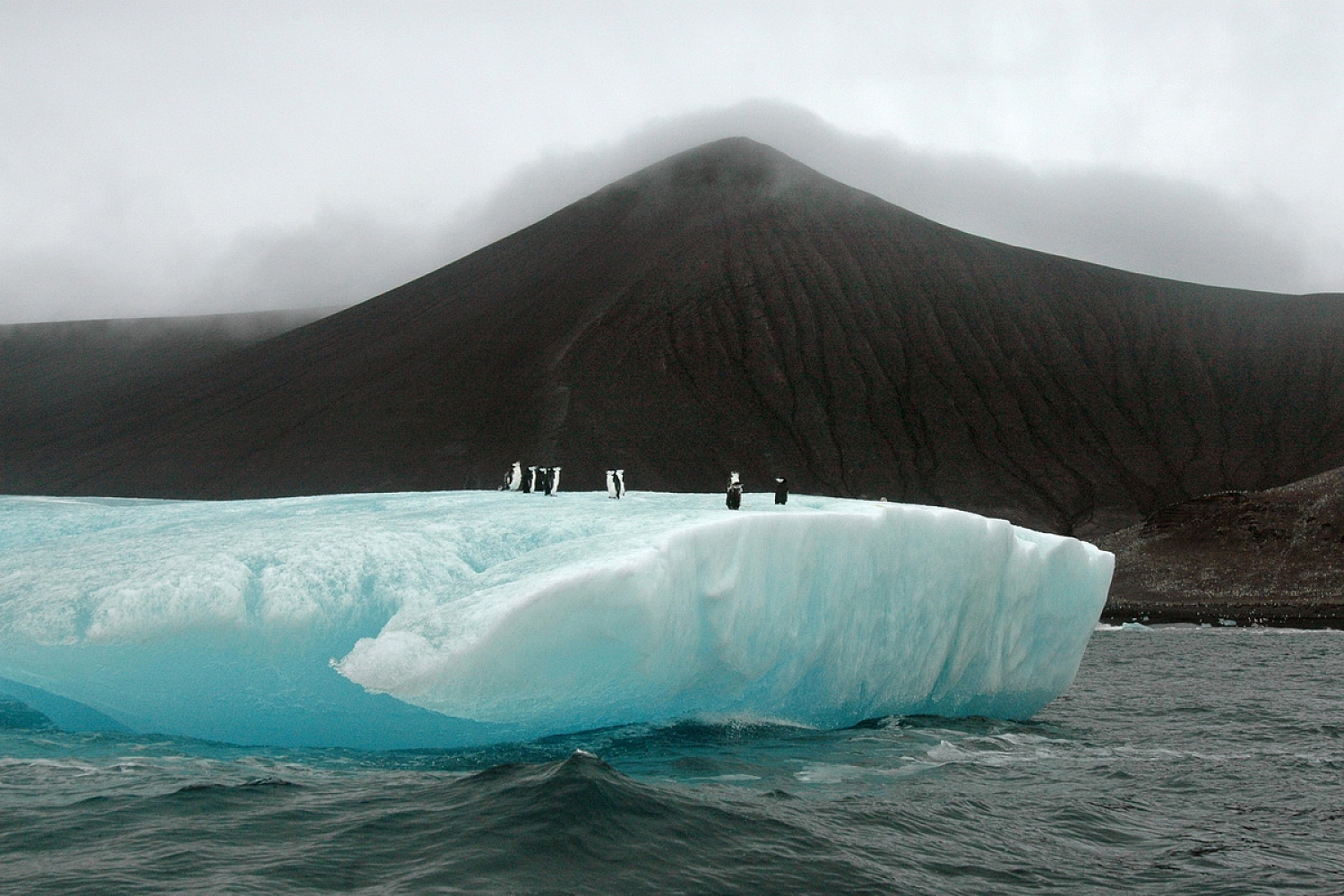 Dolph Kessler - South Georgia and Sanders, South Atlantic 