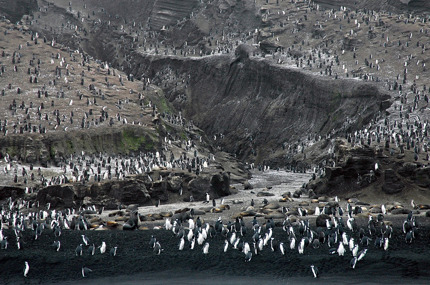 Dolph Kessler - South Georgia en Sanders, in de Zuid Atlantic 