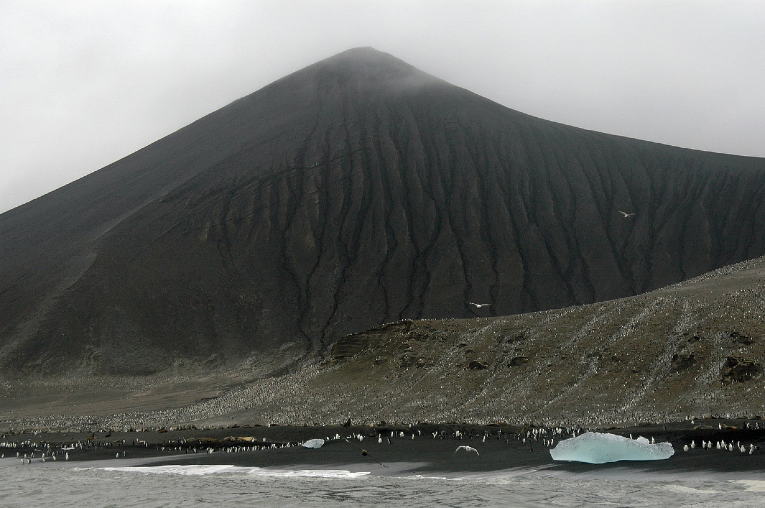 Dolph Kessler - South Georgia and Sanders, South Atlantic 