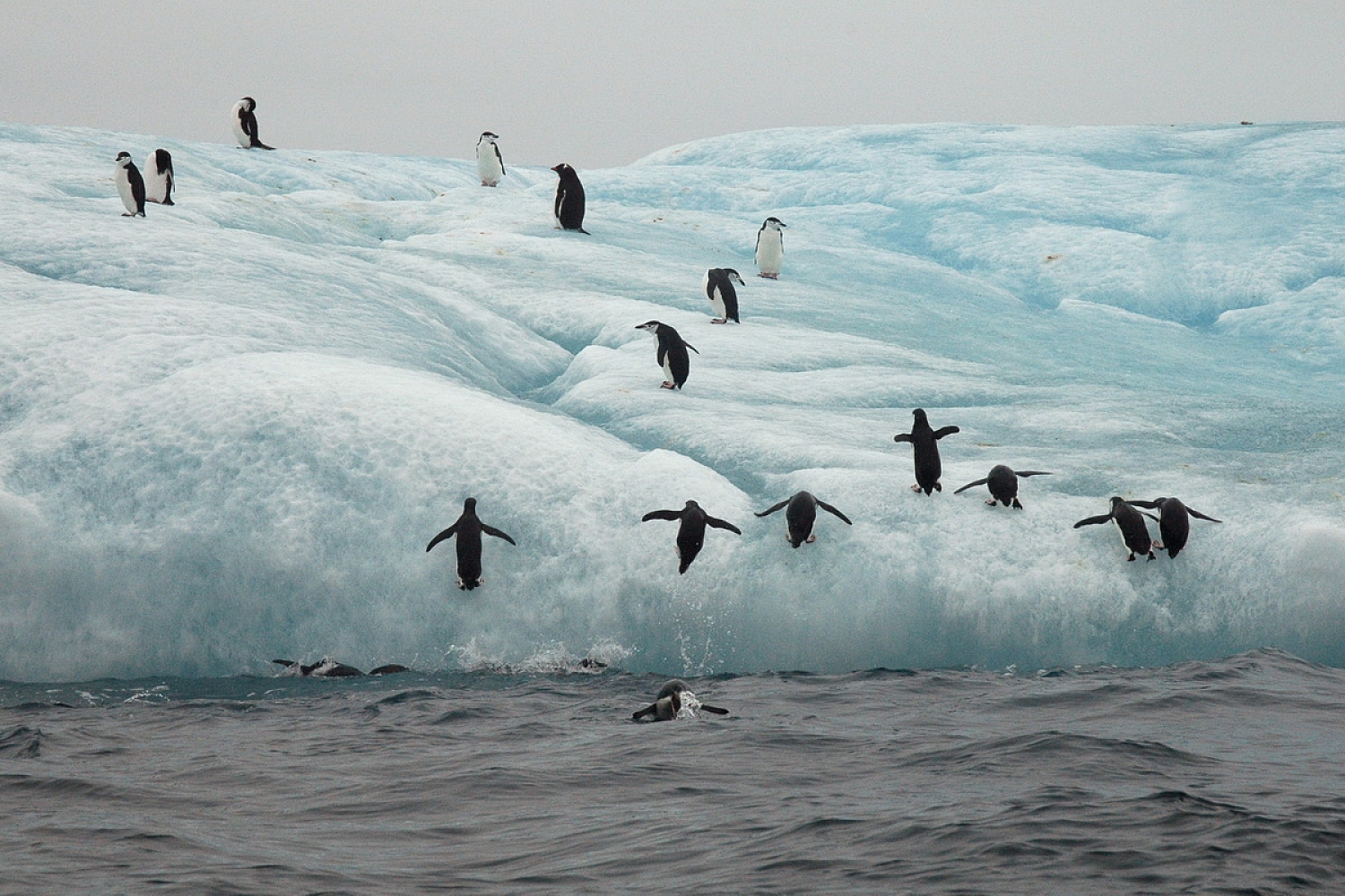 Dolph Kessler - South Georgia and Sanders, South Atlantic 