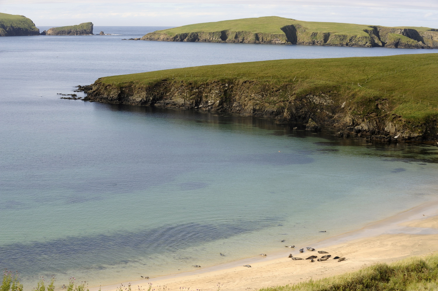 Dolph Kessler - Shetlands & Orkneys 